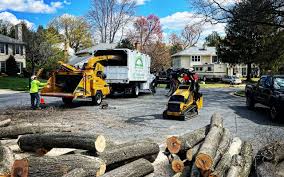 Best Tree Preservation Services  in Sultan, WA